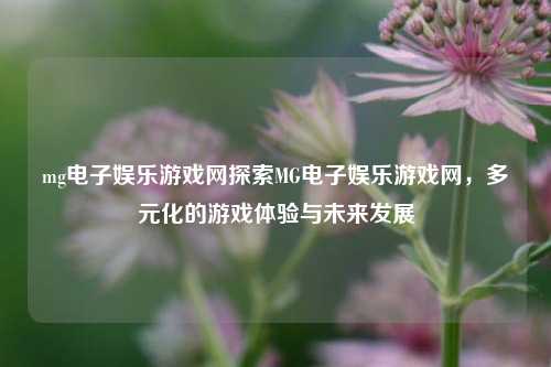 mg电子娱乐游戏网探索MG电子娱乐游戏网，多元化的游戏体验与未来发展