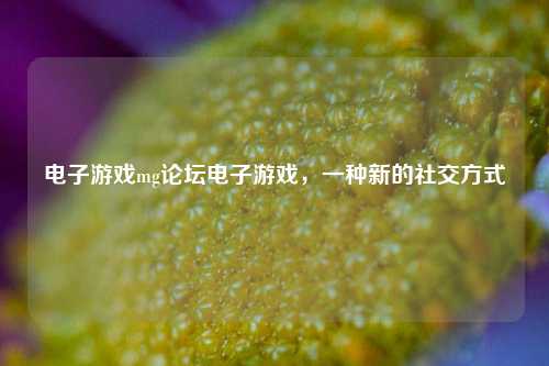 电子游戏mg论坛电子游戏，一种新的社交方式