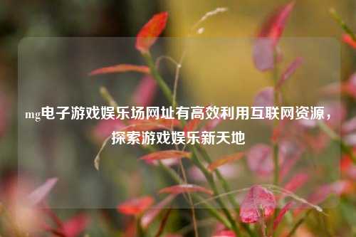 mg电子游戏娱乐场网址有高效利用互联网资源，探索游戏娱乐新天地