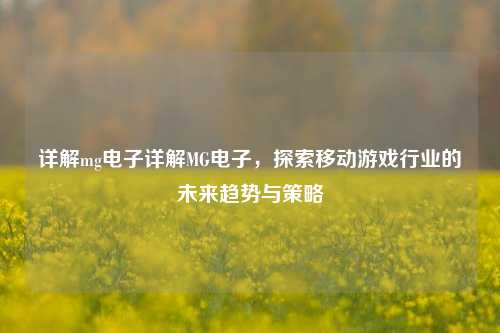 详解mg电子详解MG电子，探索移动游戏行业的未来趋势与策略