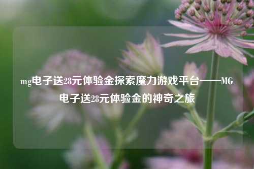 mg电子送28元体验金探索魔力游戏平台——MG电子送28元体验金的神奇之旅