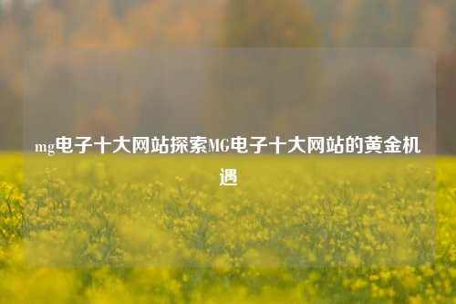 mg电子十大网站探索MG电子十大网站的黄金机遇