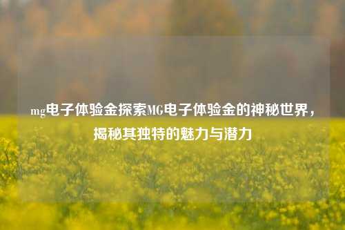 mg电子体验金探索MG电子体验金的神秘世界，揭秘其独特的魅力与潜力