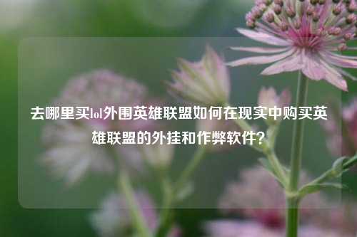 去哪里买lol外围英雄联盟如何在现实中购买英雄联盟的外挂和作弊软件？