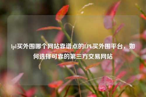 lpl买外围哪个网站靠谱点的LPL买外围平台，如何选择可靠的第三方交易网站