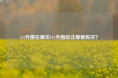 s11外围在哪买S11外围投注哪里购买？