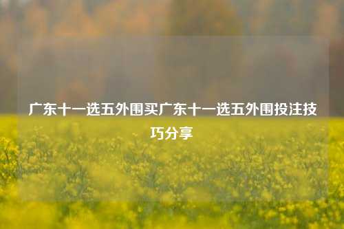 广东十一选五外围买广东十一选五外围投注技巧分享